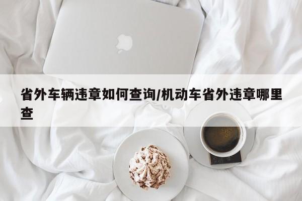 省外车辆违章如何查询/机动车省外违章哪里查