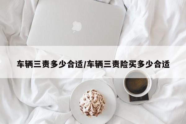 车辆三责多少合适/车辆三责险买多少合适