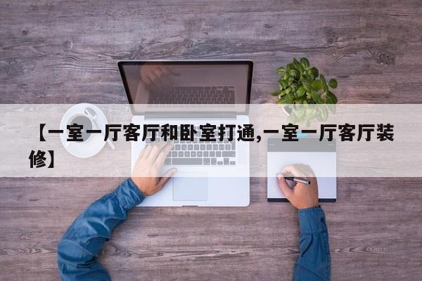 【一室一厅客厅和卧室打通,一室一厅客厅装修】
