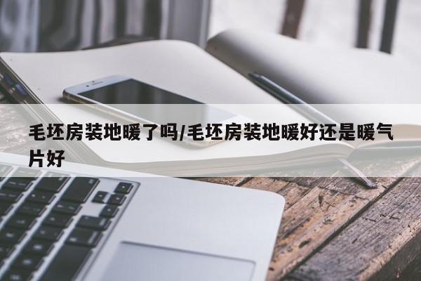 毛坯房装地暖了吗/毛坯房装地暖好还是暖气片好