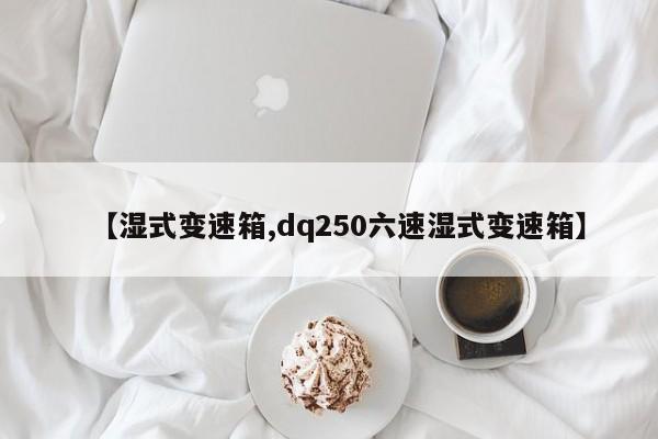 【湿式变速箱,dq250六速湿式变速箱】