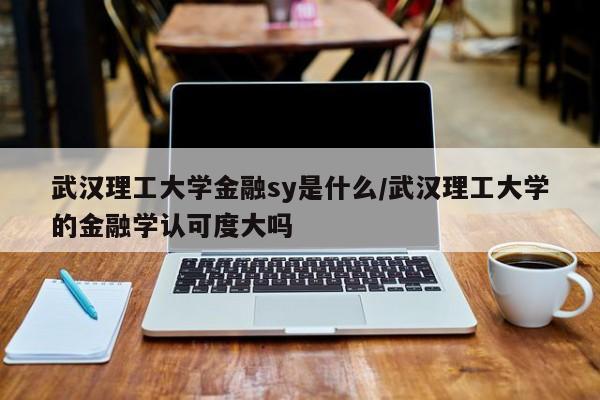 武汉理工大学金融sy是什么/武汉理工大学的金融学认可度大吗