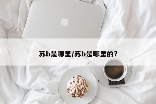 苏b是哪里/苏b是哪里的?