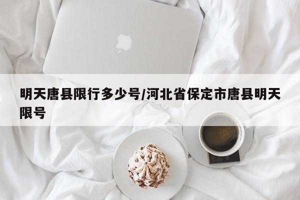 明天唐县限行多少号/河北省保定市唐县明天限号