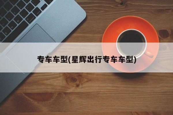 专车车型(星辉出行专车车型)