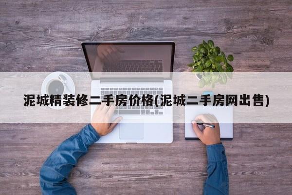 泥城精装修二手房价格(泥城二手房网出售)
