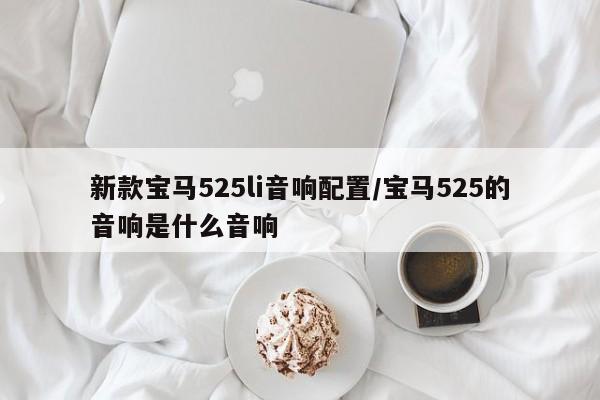 新款宝马525li音响配置/宝马525的音响是什么音响