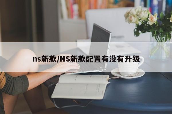 ns新款/NS新款配置有没有升级