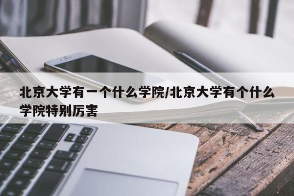 北京大学有一个什么学院/北京大学有个什么学院特别厉害