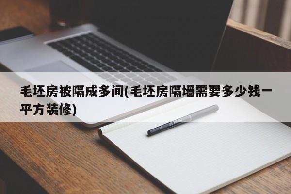 毛坯房被隔成多间(毛坯房隔墙需要多少钱一平方装修)